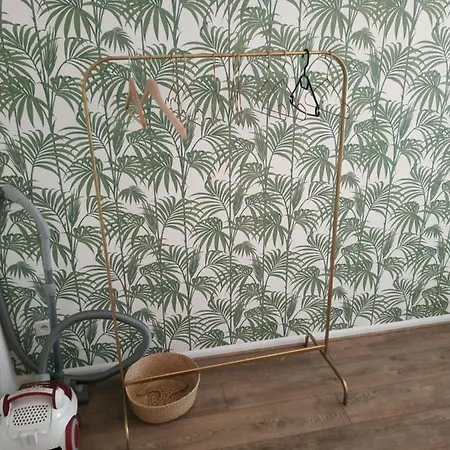 Appartement Atypique Avec 2 Chambres Straatsburg