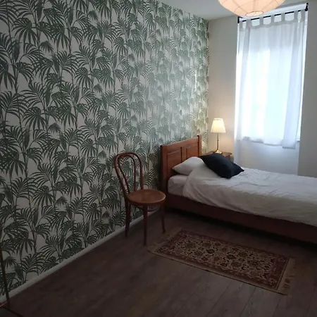 Appartement Atypique Avec 2 Chambres Straatsburg